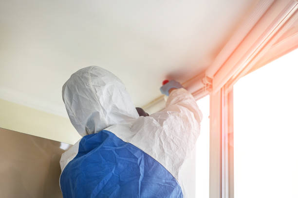 Why You Should Choose Our Mold Remediation Services in Oyster Creek, TX